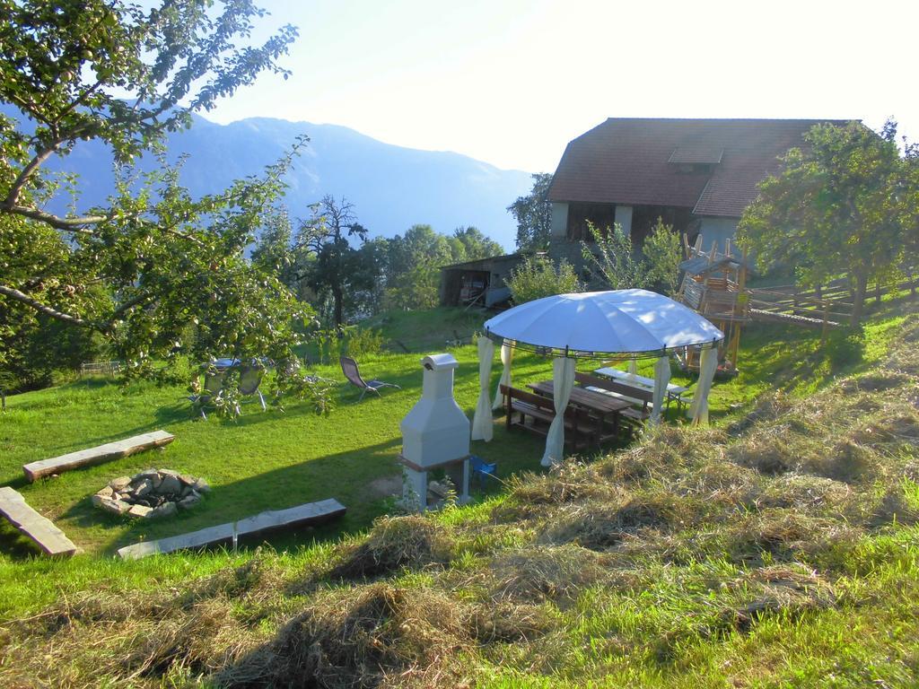 Bergbauernhof Stauder - Hirschbergalpakas Villa Lendorf Exterior foto
